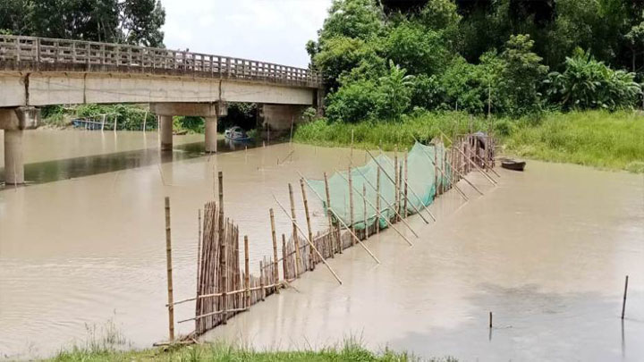 সদরপুরে অবাধে চলছে দেশীয় প্রজাতির ডিমওয়ালা মাছ শিকার